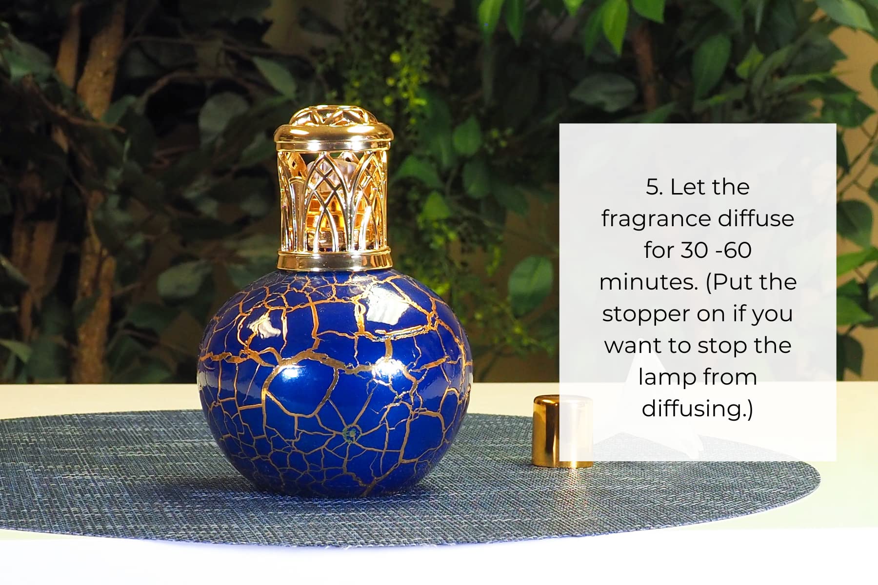 Sophia's Strawberry & Cream Fragrance Lamp Oil Refills 2-Pack (16 fl oz) - Premium Catalytic Scented Oil for Effusion & Redolere Lamps | Made in USA | Perfect for Home Aromatherapy, Relaxation & Creating Cozy Atmosphere
