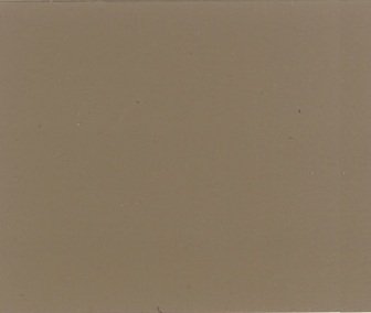 Taupe Solid