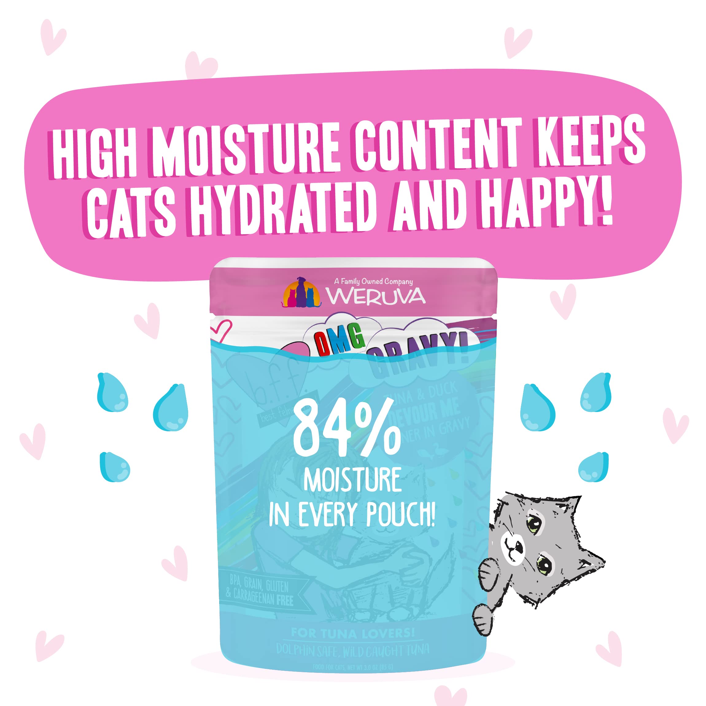 Weruva B.F.F. OMG Best Feline Friend Oh My Gravy! Tuna & Duck in Gravy Cat Food - Grain-Free, High Protein Wet Cat Food for Adult Cats, 3oz Pouch (Pack of 12) - Perfect for Mealtime, Travel & Treats