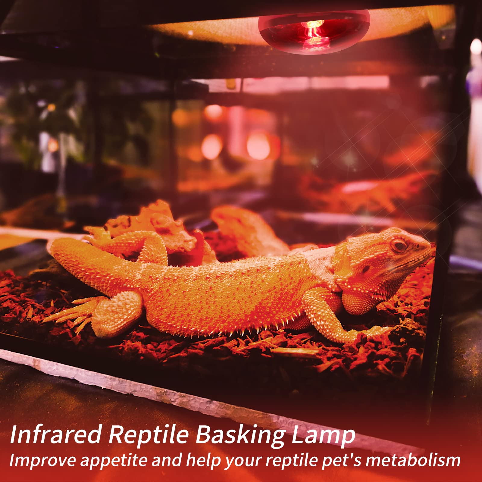 75W Infrared Reptile Heat Lamp Bulbs - 2 Pack Red Basking Spot Light for Reptiles, Amphibians & Chicken Coops - Ideal for Terrariums, Vivariums & Pet Enclosures