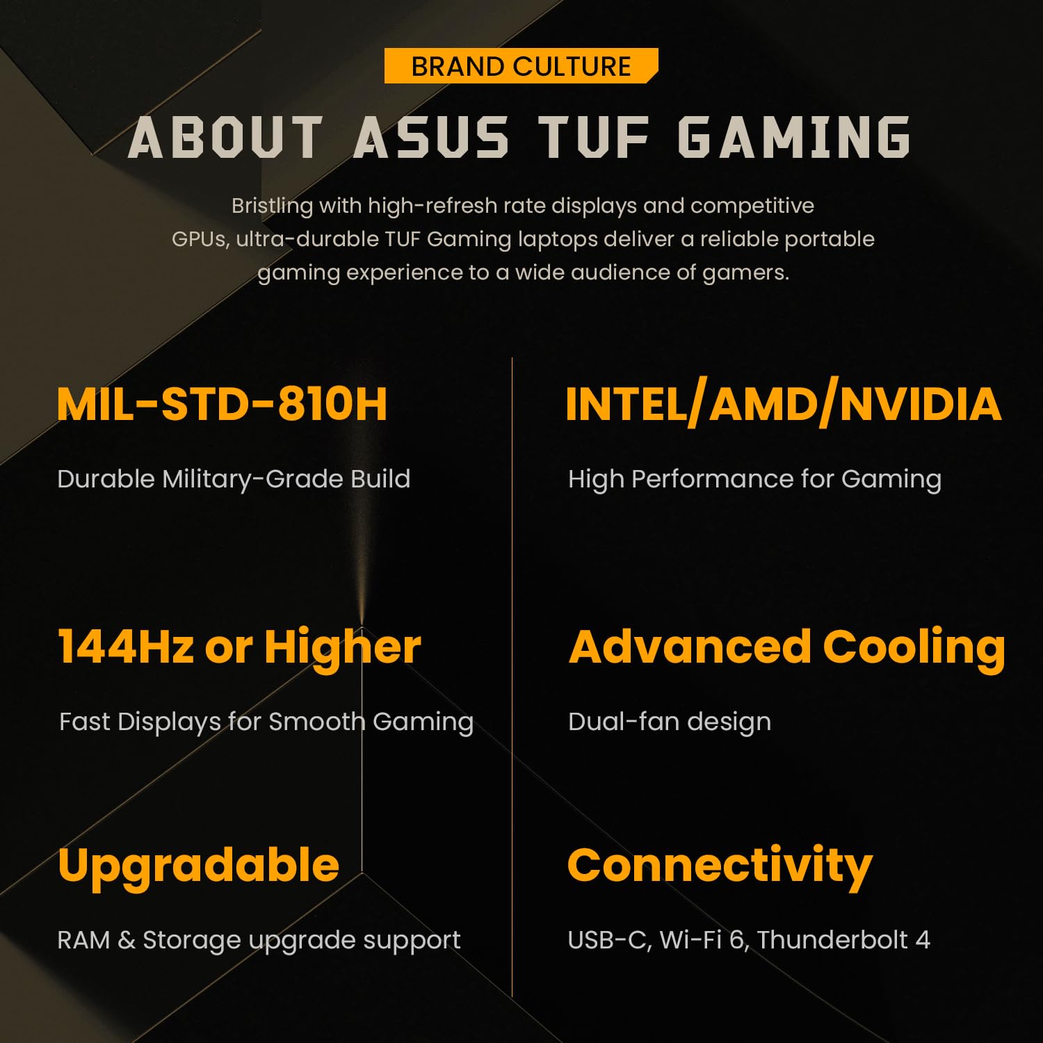 ASUS TUF Pro FA617 (Advantage Edition) AI Gaming Laptop - 16
