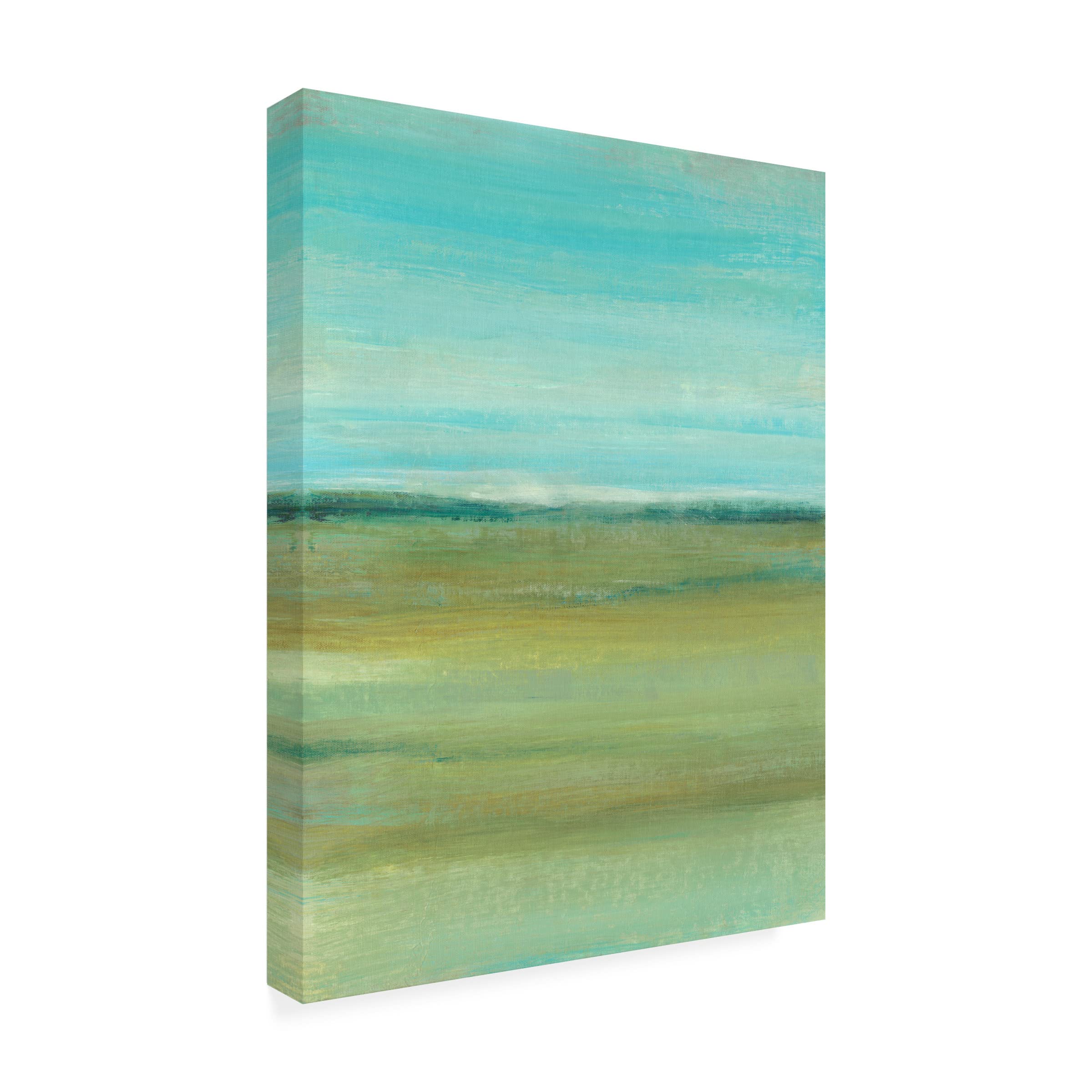 Trademark Fine Art 'Terra Verde I' Canvas Wall Art by Tim O'Toole - Modern Abstract Painting for Living Room, Bedroom & Office Decor