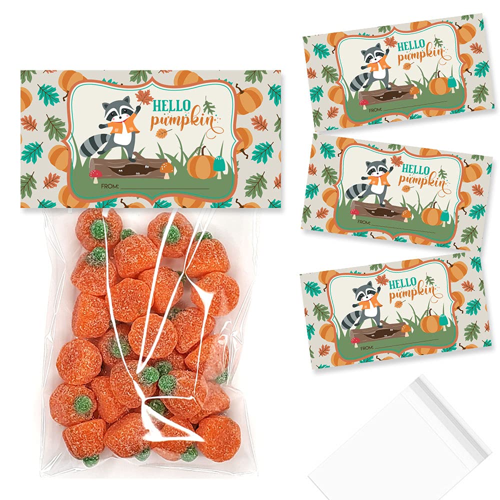 Adorable Raccoon Fall-Themed Party Favor Bag Toppers - Set of 20 with Self-Adhesive Treat Bags Included | Perfect for Halloween, Thanksgiving & Autumn Celebrations | by AmandaCreation