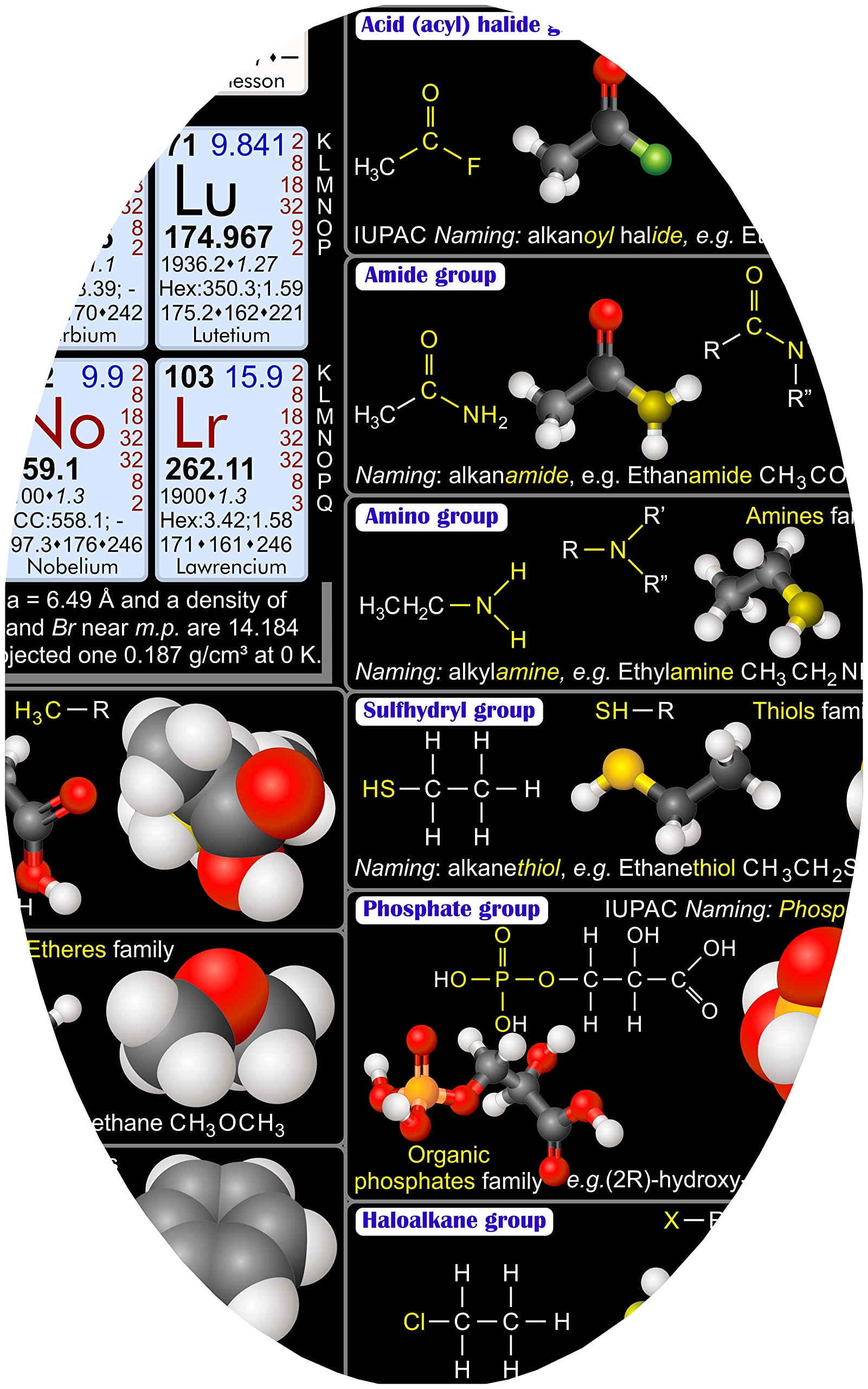 2IN1 Organic Chemistry Poster with Functional Groups & Isomers - 20x30 Inch Laminated Photo Art Print - Wet & Dry Erase Safe | Science Classroom Decor, Study Aid for Students, Lab Reference Chart