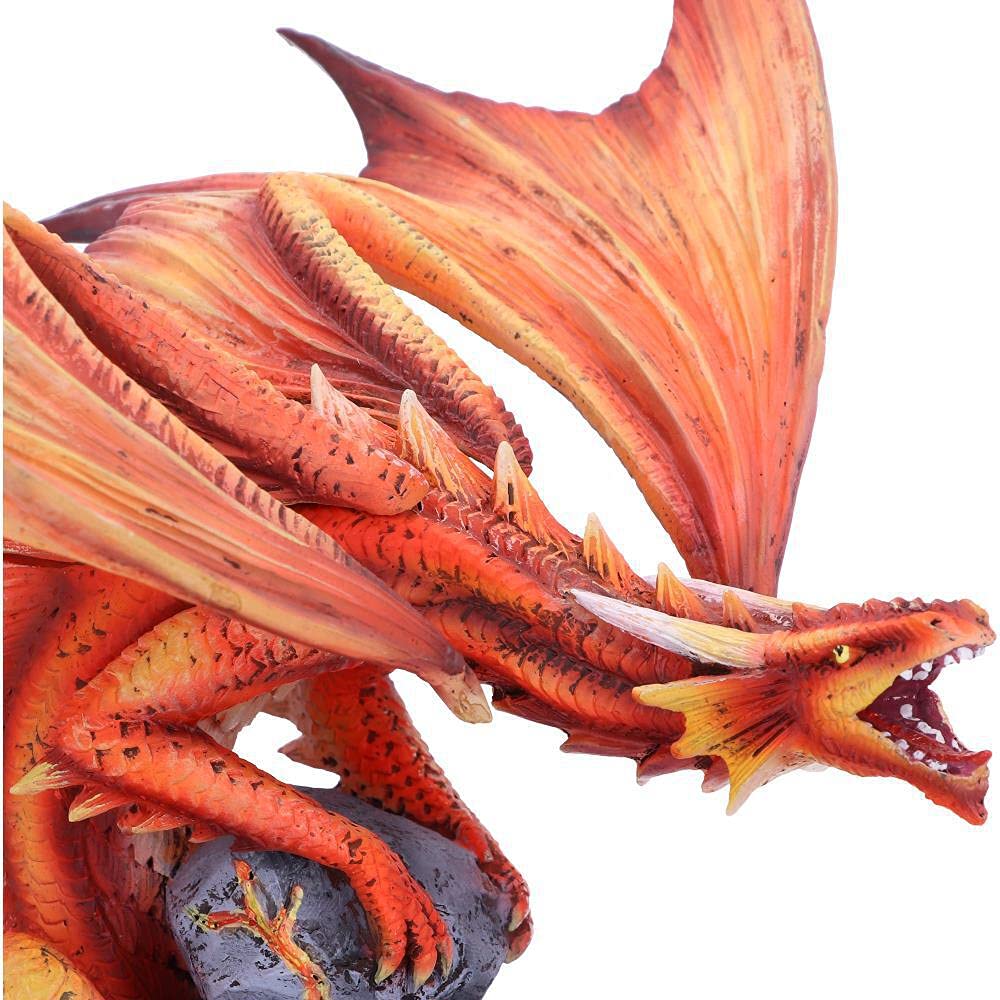 Nemesis Now Adult Fire Dragon Anne Stokes 24.5cm Resin Figurine - Red Fantasy Collectible Statue for Home Decor, Gaming Room & Gift for Dragon Lovers