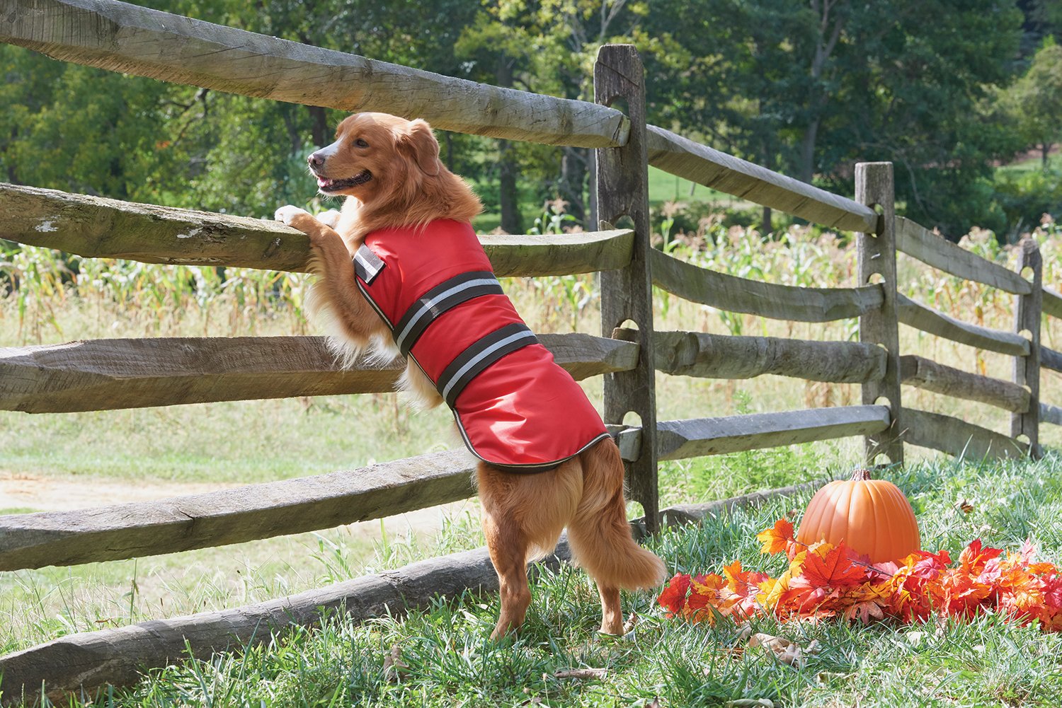 Red X-Small Outdoor Dog Coat Blanket for Camping & Hiking