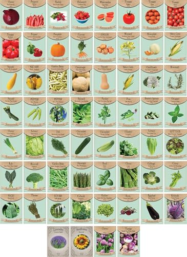 60 Premium Seeds