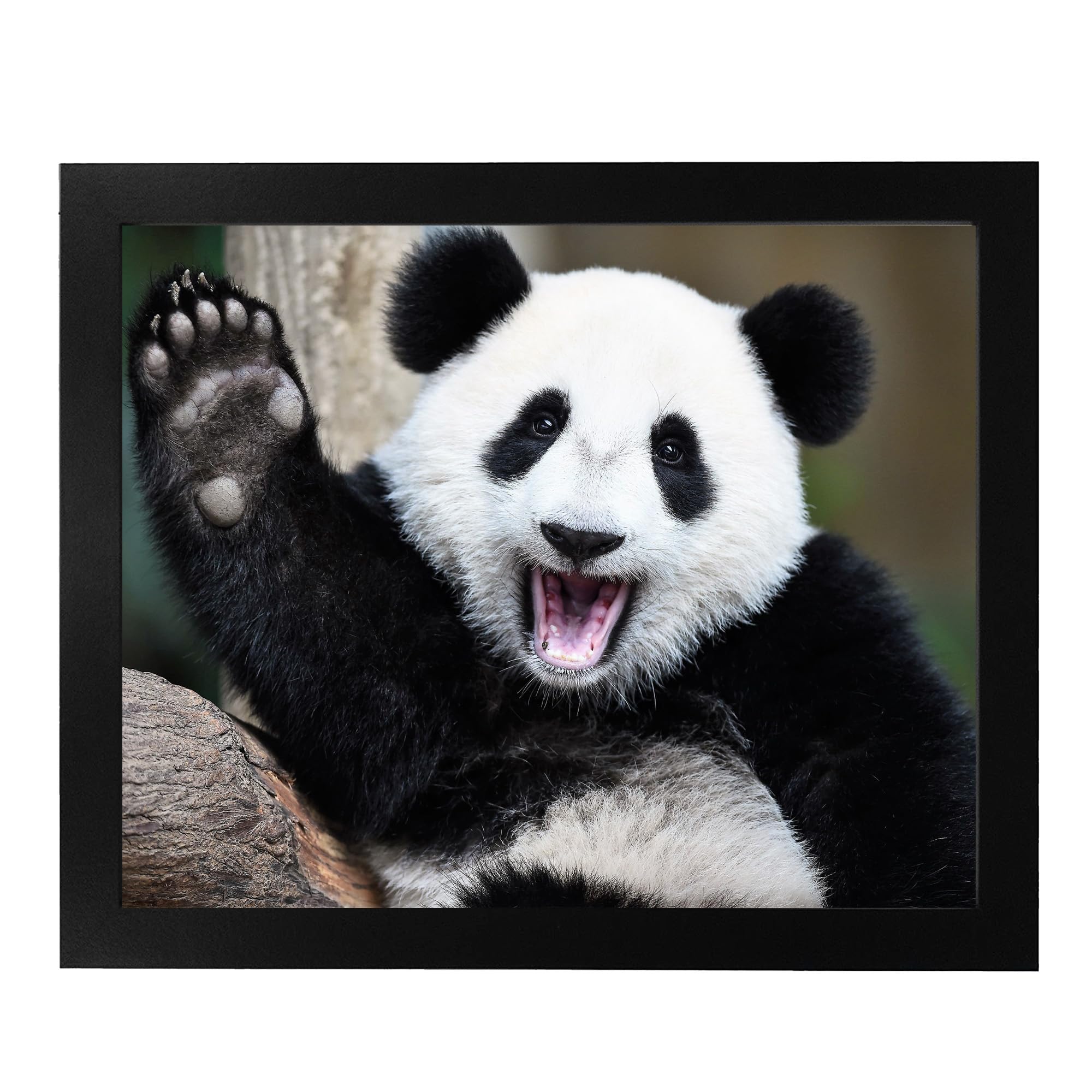 Happy Panda Waving Hi - Cute Animal Wall Art Print for Home Decor, Nursery & Kids Room | Funny Animal-Themed Photo Print | Perfect Gift for Animal Lovers | Unframed 10x8 Inches | Ideal for Living Rooms, Bedrooms & Playrooms