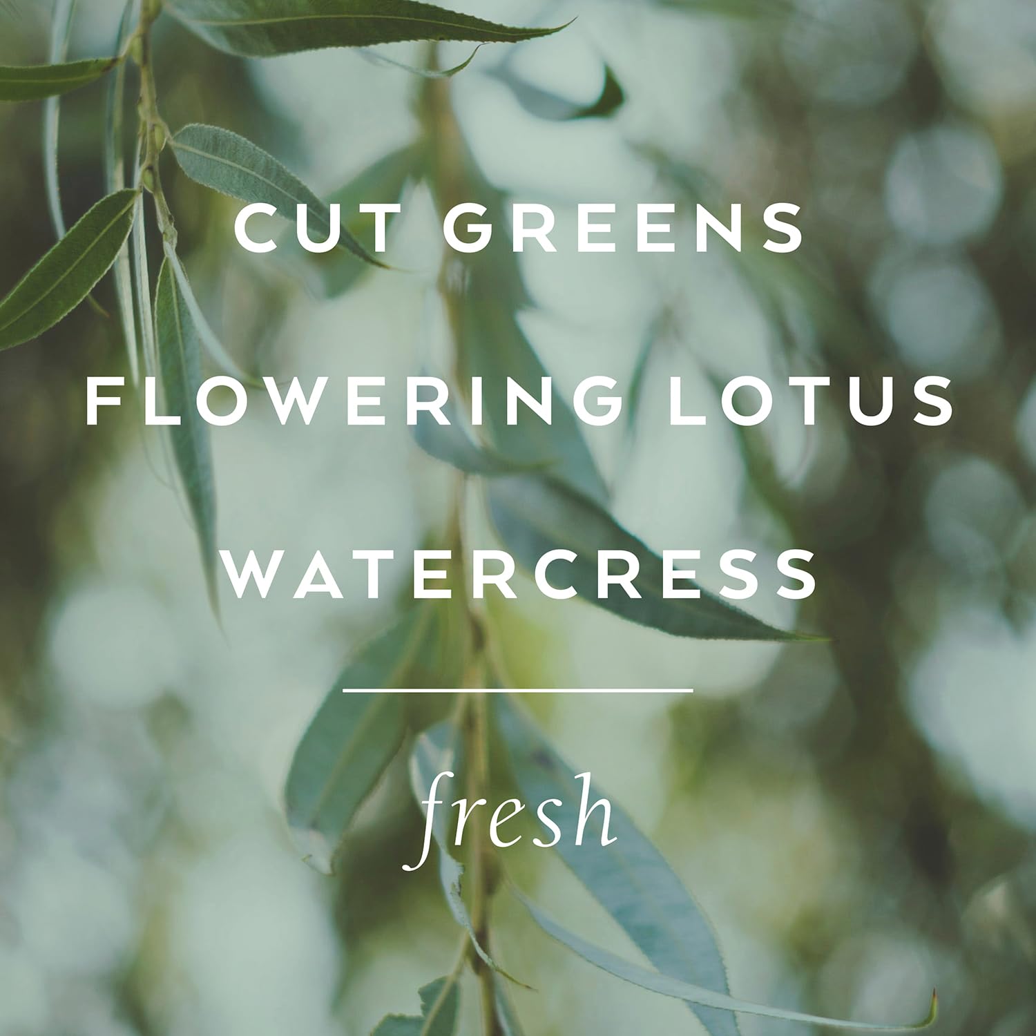 Library of Flowers Willow & Water Bubble Bath, 17 fl. oz. - Relaxing Hydrating Bath Soap with Cut Greens, Flowering Lotus & Watercress - Infused with Cocoa Butter & Green Tea for Deep Moisturizing - Perfect for Spa Nights & Stress Relief
