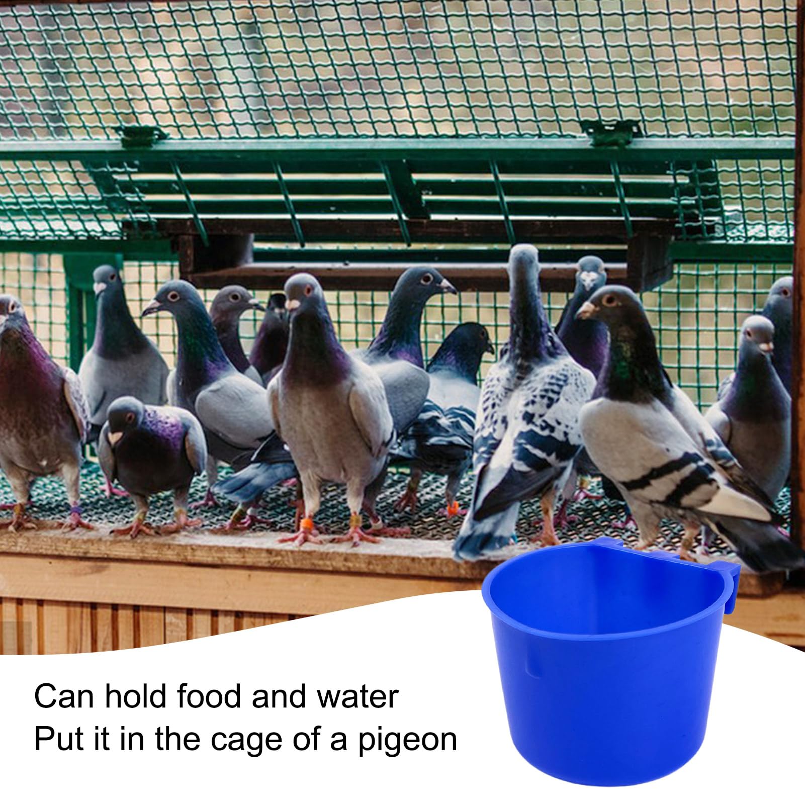 Rainmae 50 Pcs Blue Plastic Bird Feeders & Water Cups - 8 oz Hanging Cage Cups for Small Birds, Parrots, Chickens, Pigeons & Poultry - Durable Seed Bowls & Water Dispensers for Coops, Cages & Aviaries - Perfect for Pet Birds, Gamefowl & Backyard Flocks