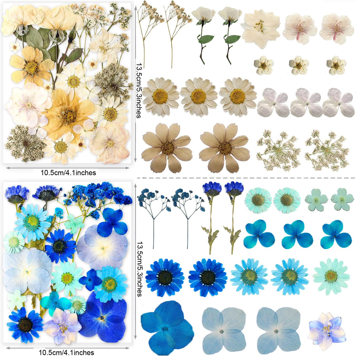 221PCS Real Nature Dried Pressed Flowers for Resin Craft, DIY Jewelry Making, Nail Art, Scrapbooking - Includes Butterfly Transparent Stickers - Perfect for Home Decor, Wedding Invitations & Summer Craft Projects