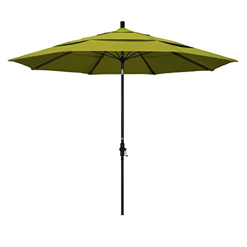 Ginkgo
