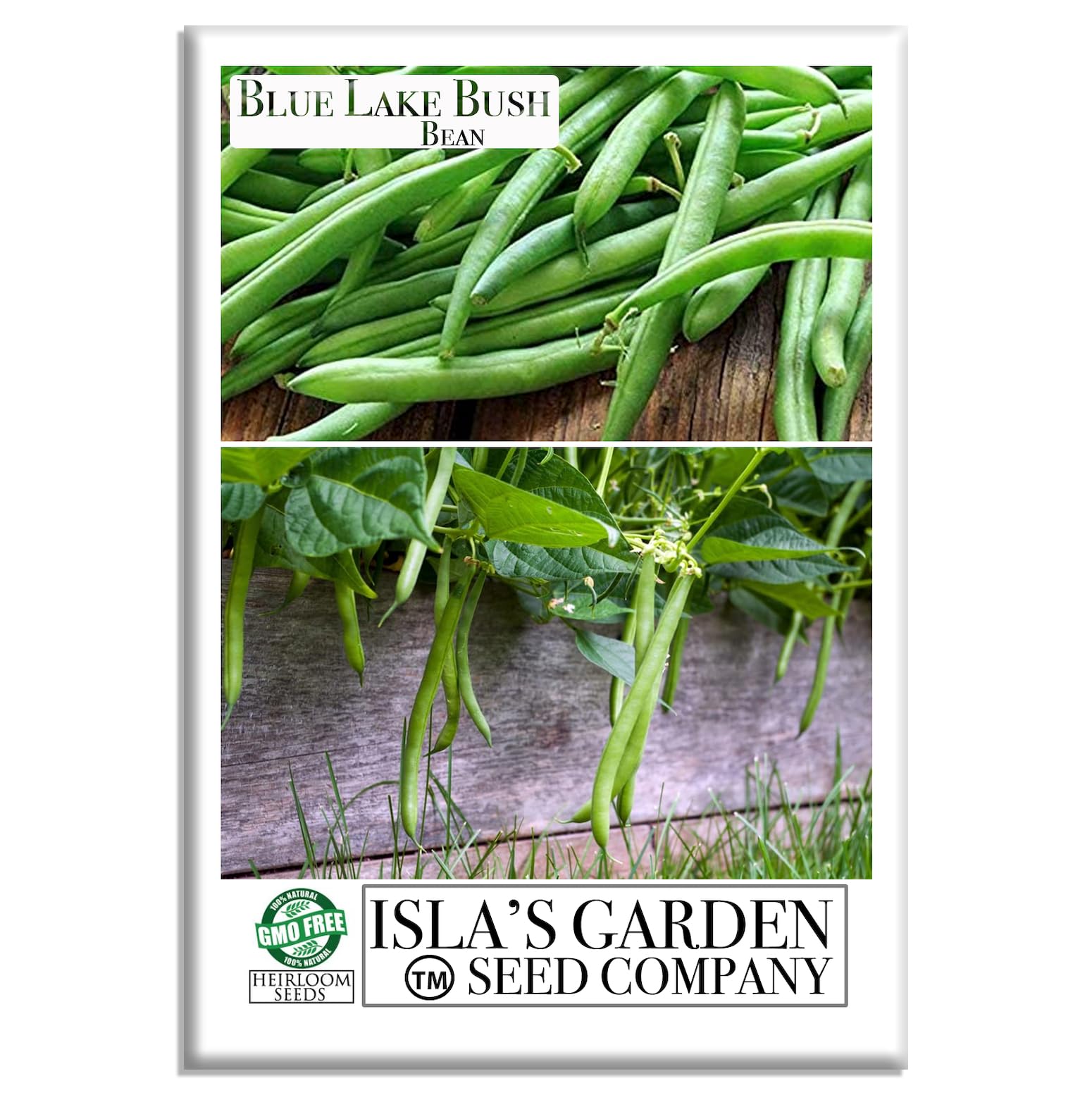 Blue Lake Bush Green Bean Seeds - 50+ Heirloom Non-GMO Vegetable Seeds for Planting (Phaseolus vulgaris) - Perfect for Home Gardens, Organic Farming & Fresh Salads