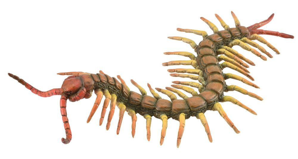 CollectA Realistic Centipede Insect Figurine - Detailed Educational Toy for Kids, Nature Lovers & Collectors | Perfect for Science Projects, Home Decor & Diorama Displays