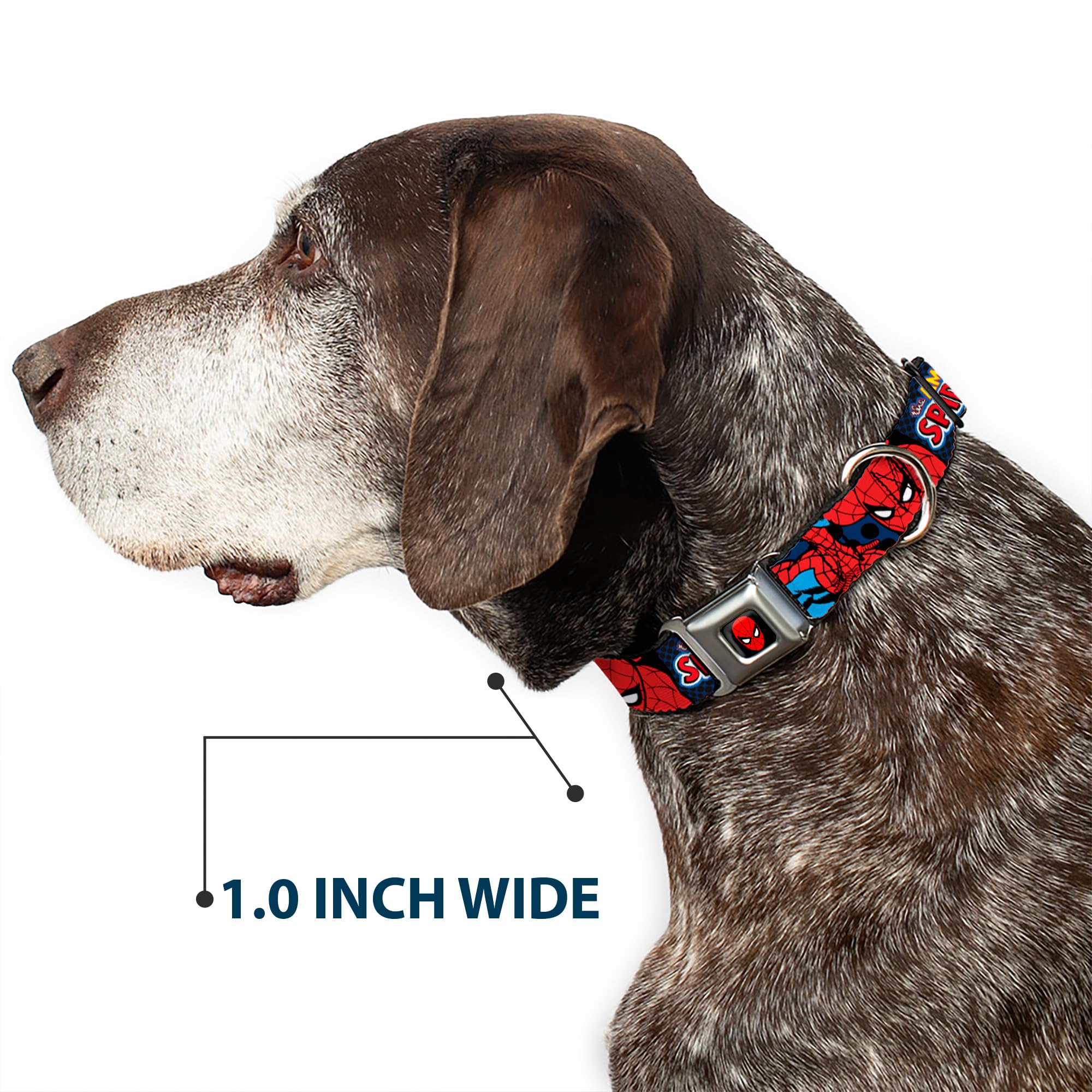 Amazing Spider-Man Dog Collar with Seatbelt Buckle - Adjustable 9 to 15 Inches, 1.0 Inch Wide, Multi-Color (DC-WSPD001-S) - Perfect for Superhero Fans & Pet Safety in Cars