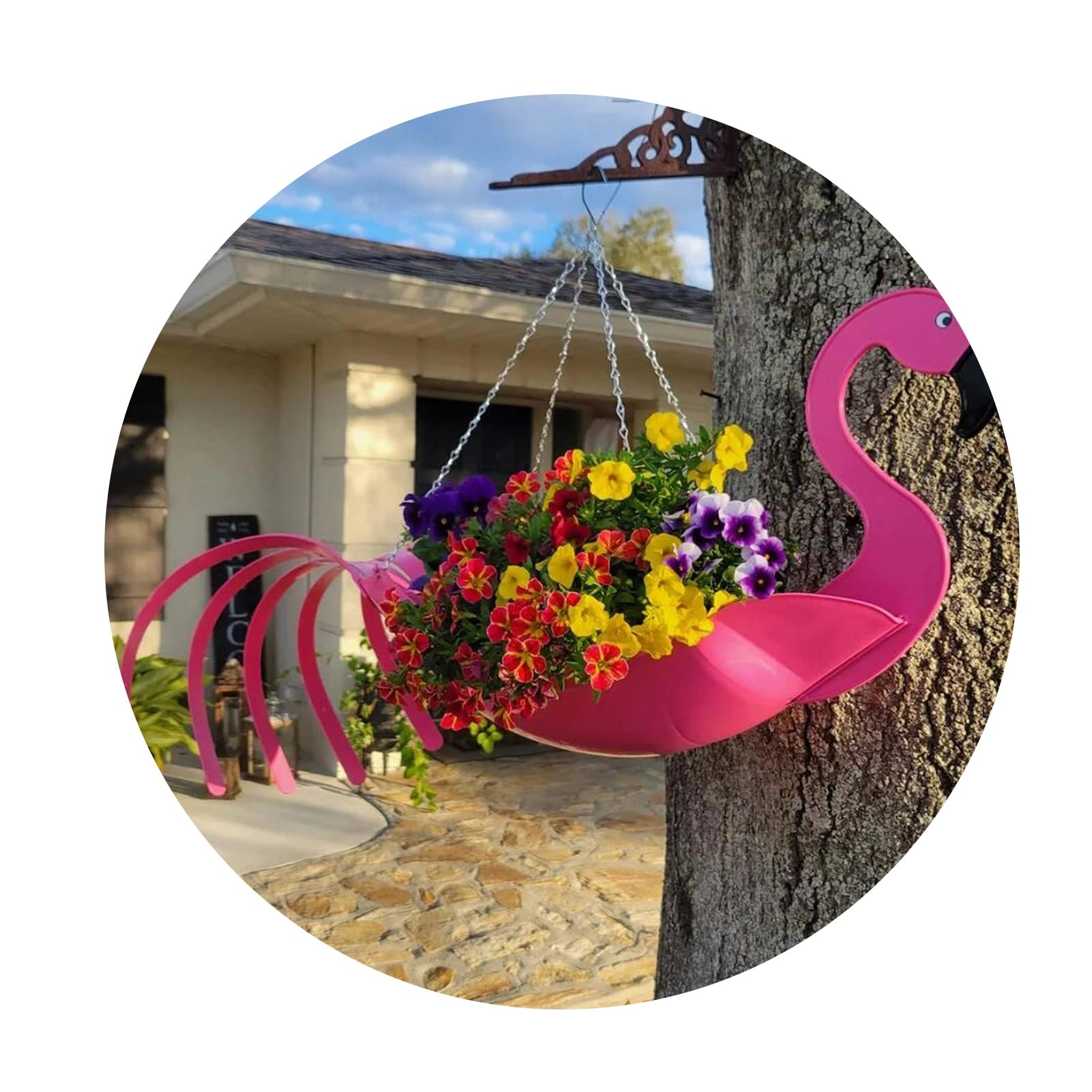 Rust-Proof Metal Colorful Flying Parrot Hanging Planter - Flower Pot Set for Plants, Cactus & Bonsai | Home, Office, Window, Kitchen & Balcony Decor | Perfect Gift Idea for Plant Lovers (Pink) - Ideal for Indoor Gardening, Small Space Decor & Unique Home Accents