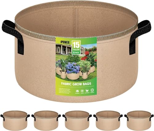 5-pack Tan