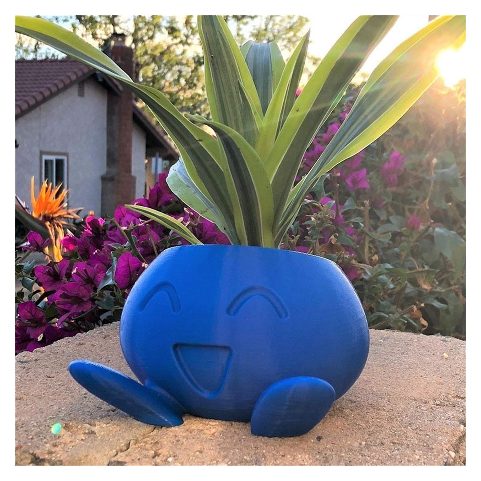 Oddish Succulent Planter - Small Blue Flower Pot for Succulents, Cacti & Air Plants | Perfect for Home, Office & Garden Decor