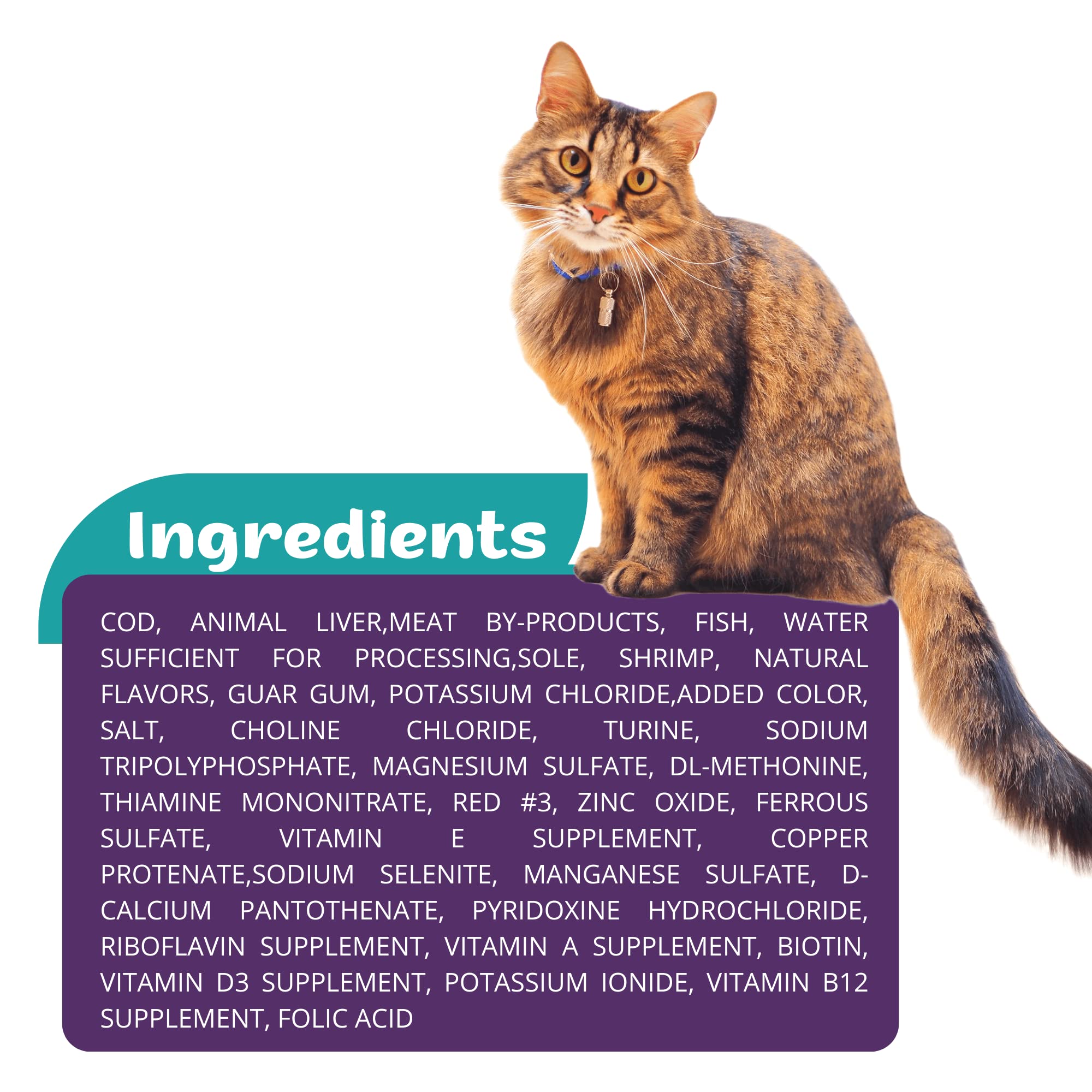 Premium CAT Food 5.5 OZ (15 Pack) Ocean Whitefish & Tuna Entree with Free Squeeze UP (4 UN) - High Protein Wet Cat Food for Adult & Senior Cats - Perfect for Mealtime, Travel & Treat Rewards