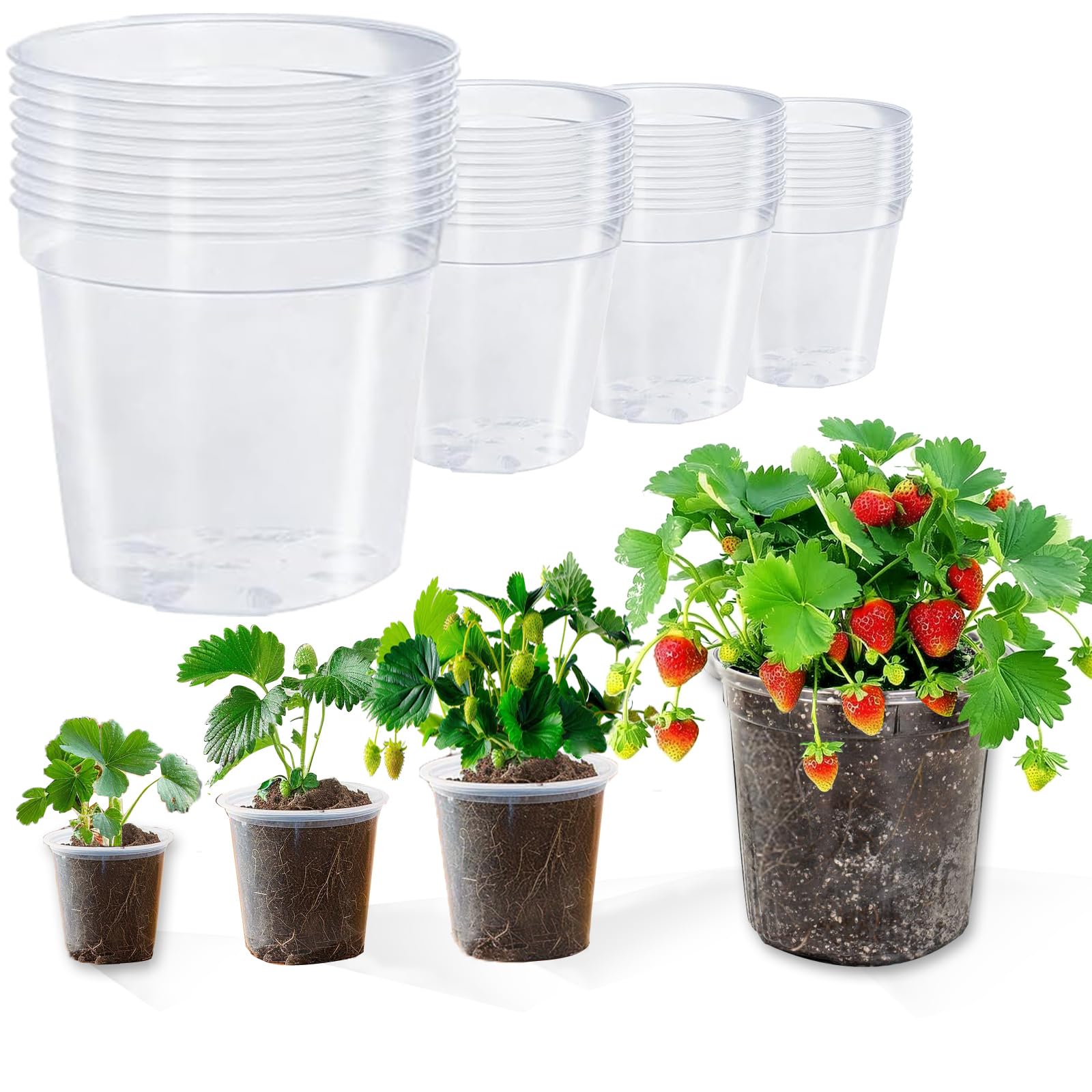 Clear Plastic Plant Pots with Drainage Holes - 4 Sizes (3.5/4/5/6.8 Inch) - 40 Pack Thick Nursery Pots for Indoor Plants, Seedlings & Succulents - Perfect for Home Gardening, Plant Propagation & Office Decor