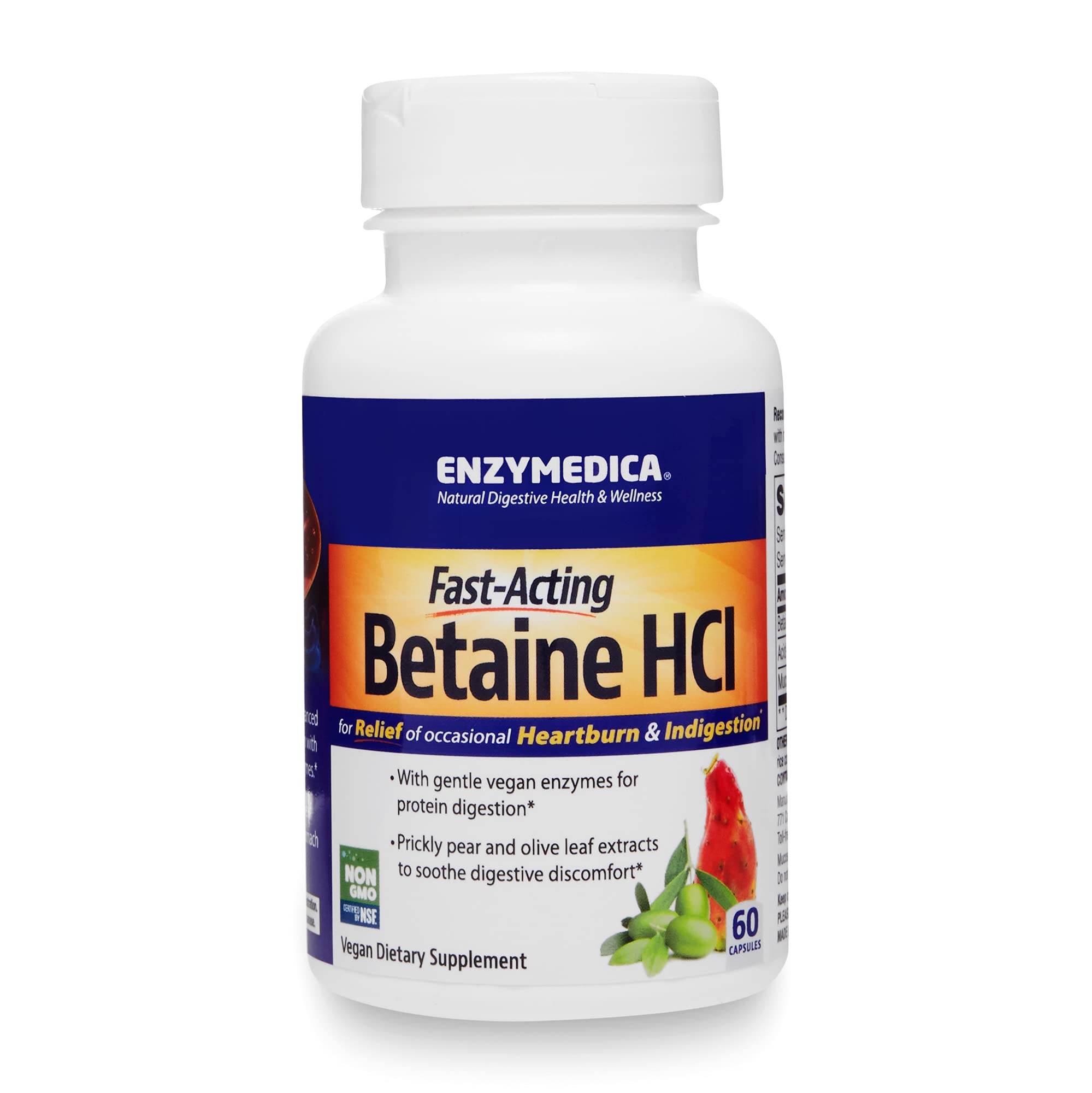 Enzymedica Betaine HCI 600mg Digestive Enzyme Supplement - 60 Capsules for Gut Health & Acid Reflux Relief - Supports Protein Digestion & Nutrient Absorption