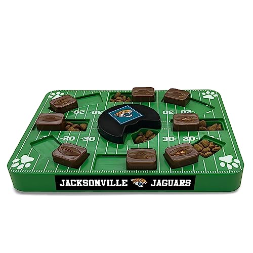 JACKSONVILLE JAGUARS