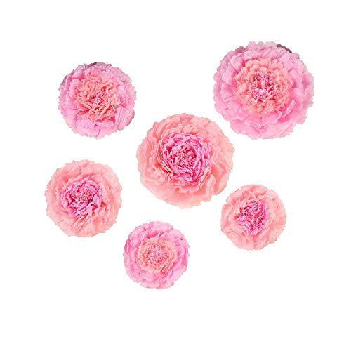 Blush and Pink
