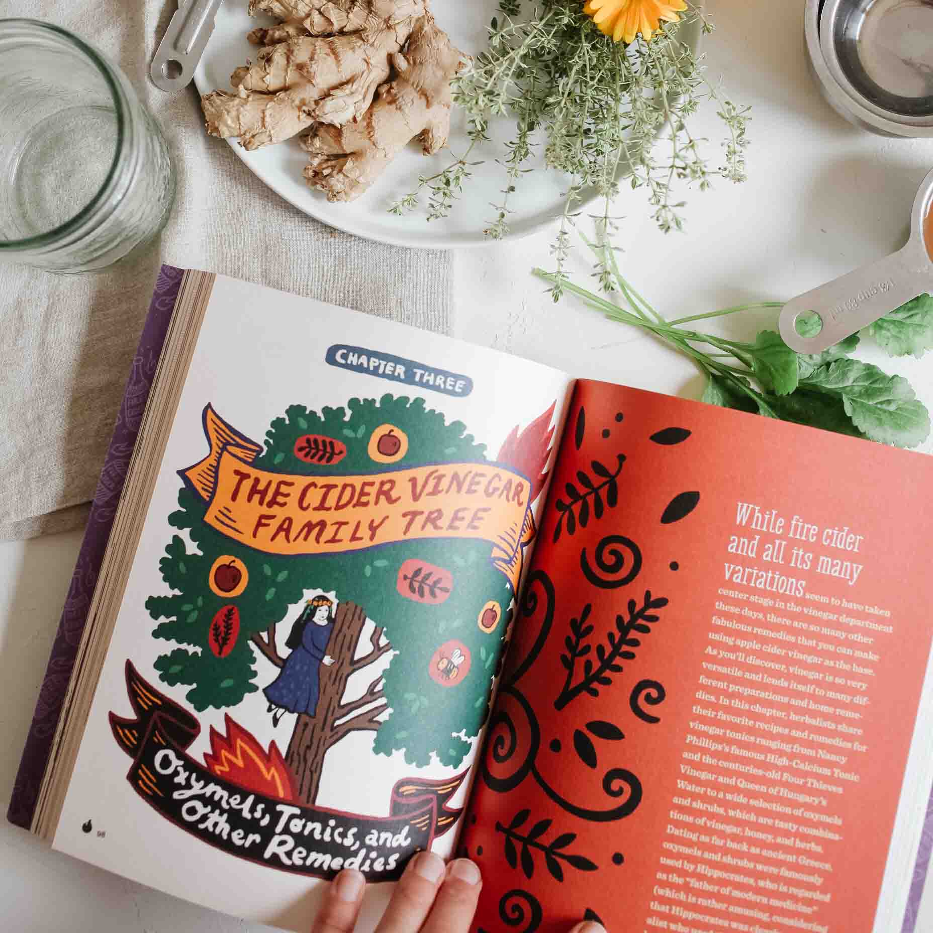 Fire Cider! 101 Zesty Recipes for Immune-Boosting Health Remedies - Natural Cold & Flu Relief, Digestive Aid & Wellness Tonic for Home Use