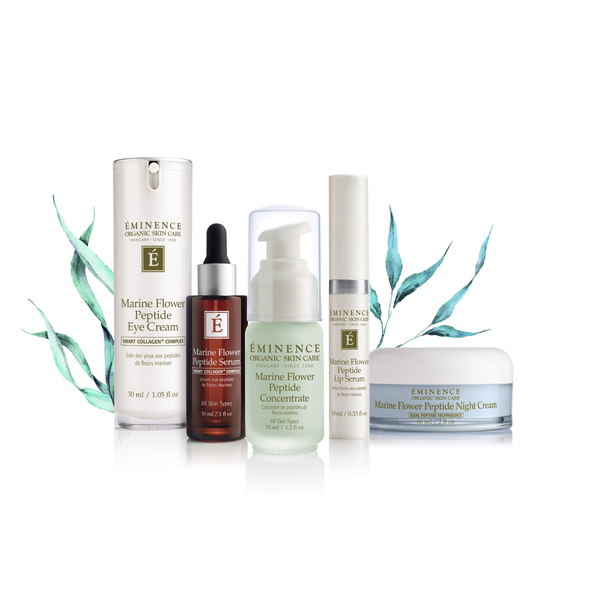 Marine Flower Peptide Night Cream - Anti-Aging Face Moisturizer for Deep Hydration & Wrinkle Reduction | Perfect for Dry Skin & Nighttime Skincare Routine