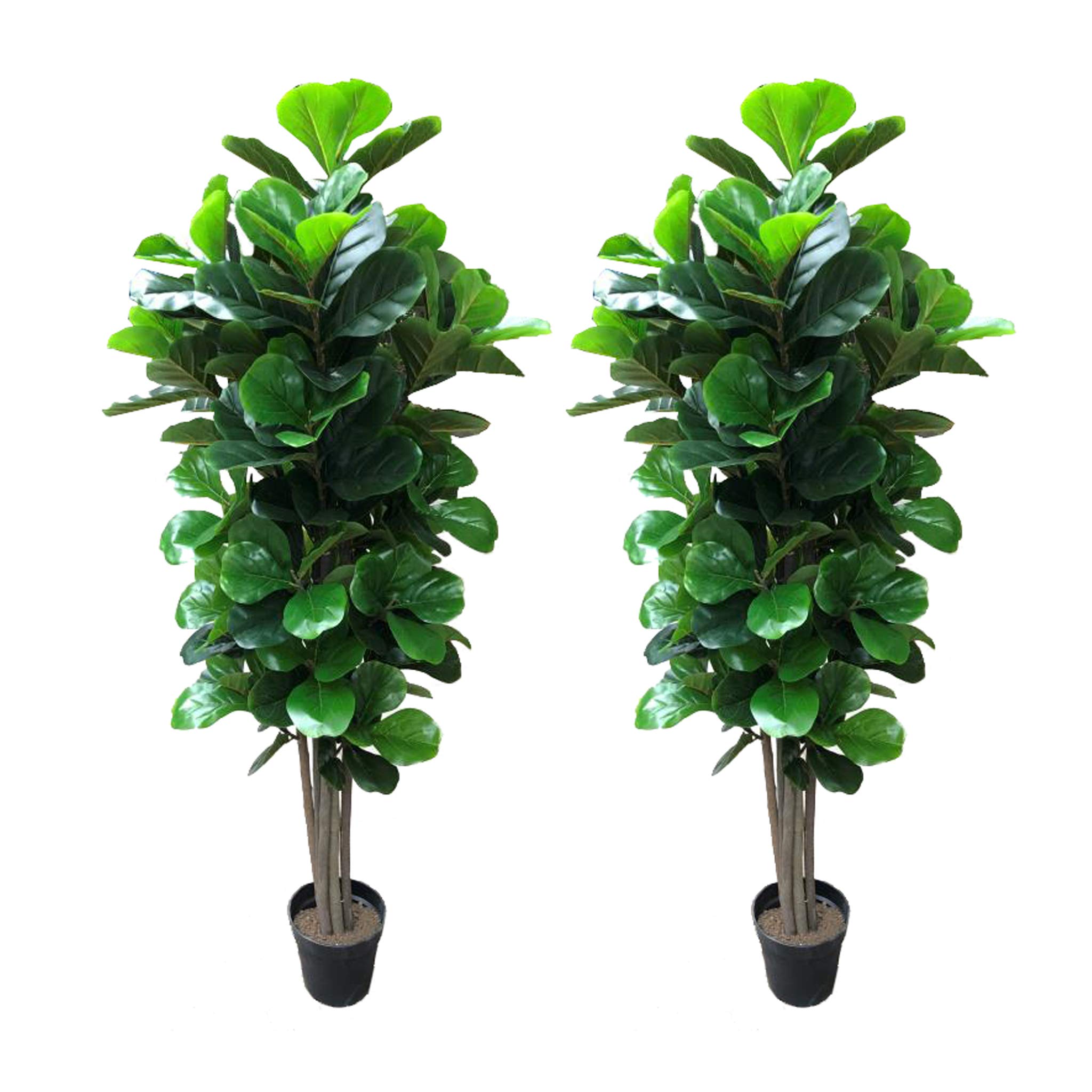 AMERIQUE 2-Pack 5ft Faux Fiddle Leaf Fig Tree - Realistic Silk Artificial Plants with Nursery Pot, Premium Feel Real Technology for Home & Office Decor - Perfect for Living Room, Bedroom, or Indoor Greenery
