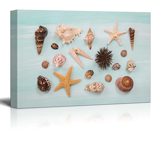 Shells