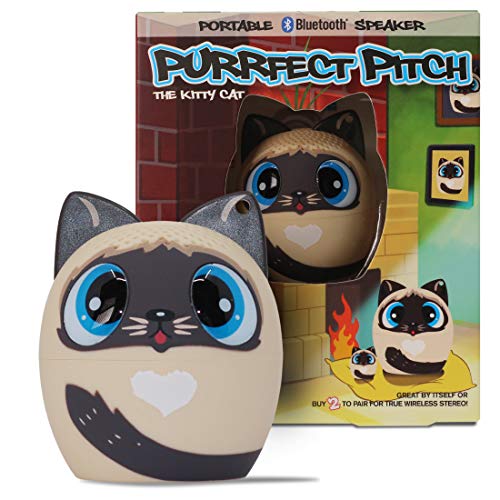 Purrfect Pitch-Cat