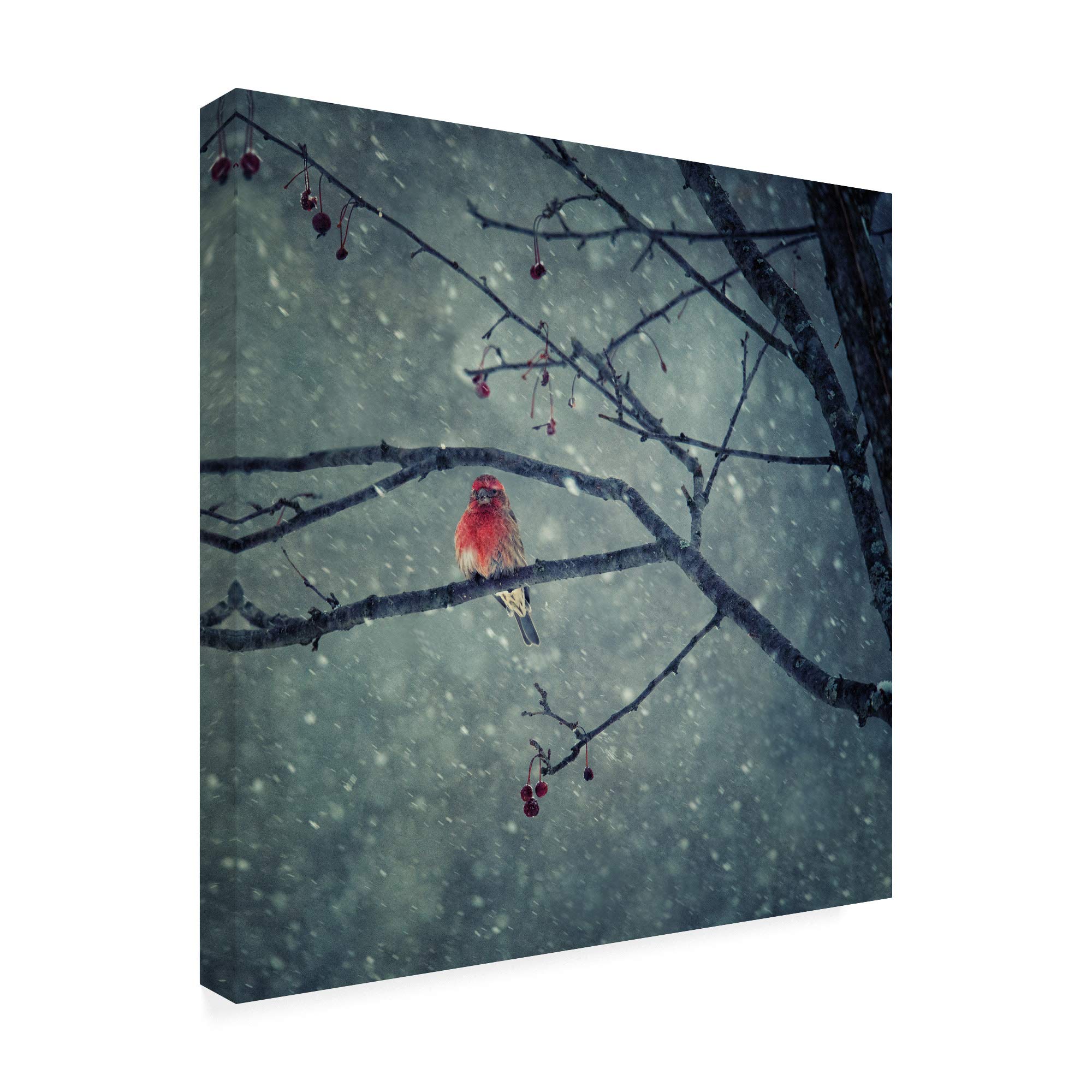 Trademark Fine Art - 18x18 Inch Snowing Red Birds Canvas Print by Yu Cheng - Perfect for Living Room, Bedroom & Office Wall Decor