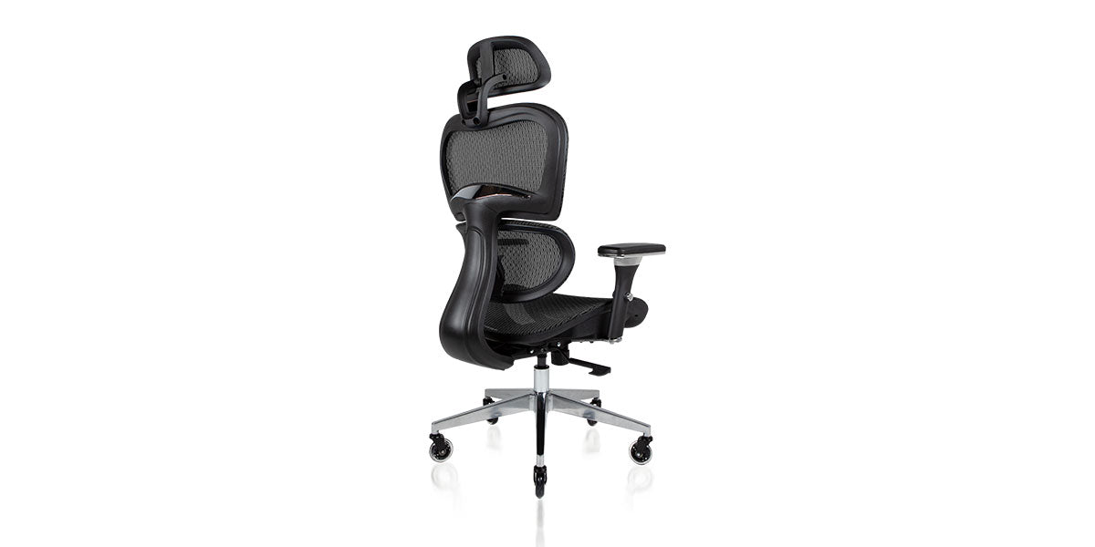 NOUHAUS Ergo3D Ergonomic Office Chair - Adjustable Lumbar Support & Headrest - Mesh Back Computer Chair for Home & Office - Perfect for Long Hours Sitting & Gaming