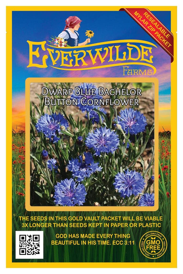 500 Dwarf Blue Cornflower Wildflower Seeds - Premium Non-GMO Garden Seeds for Pollinator Gardens, Landscaping & Cut Flowers - Everwilde Farms Gold Vault Jumbo Seed Packet