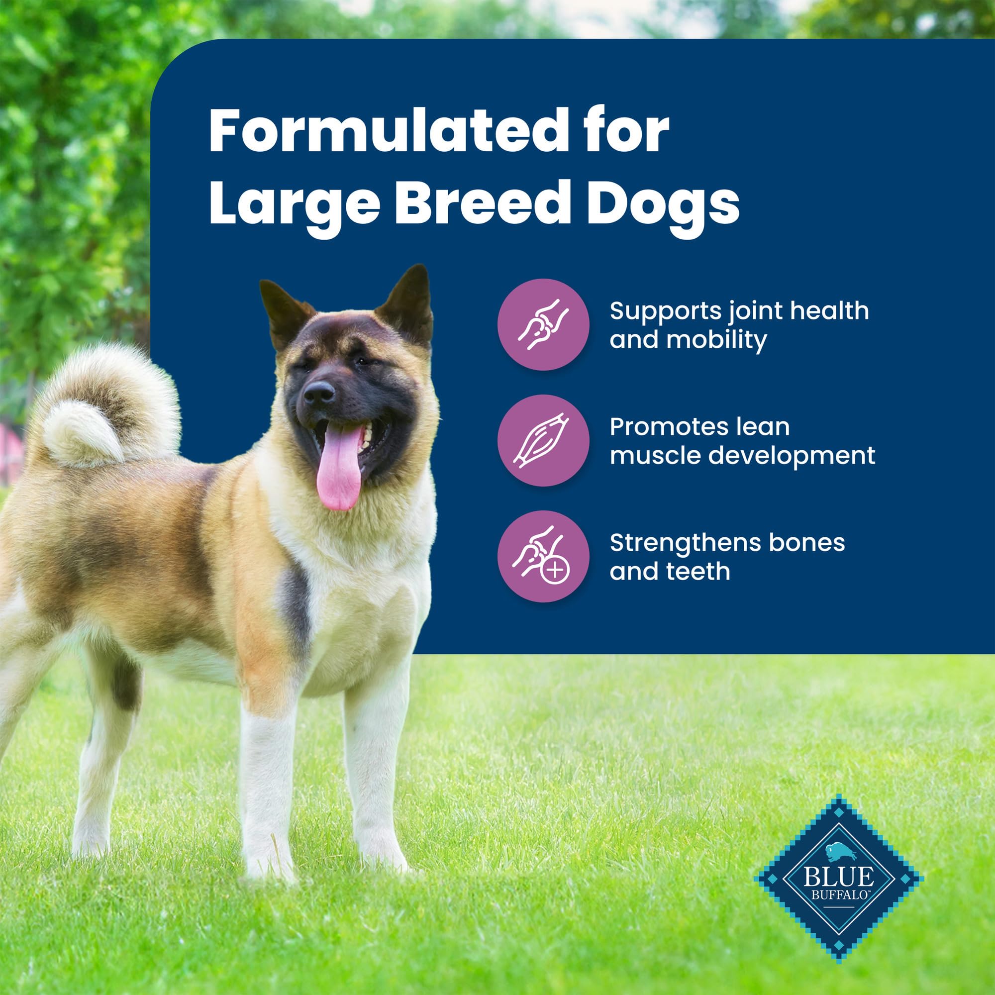 Blue Buffalo Life Protection Formula Large Breed Adult Dry Dog Food - Natural Lamb & Brown Rice Recipe for Joint Health & Lean Muscles, 34lb Bag | Ideal for Active Large Dogs & Senior Canine Care