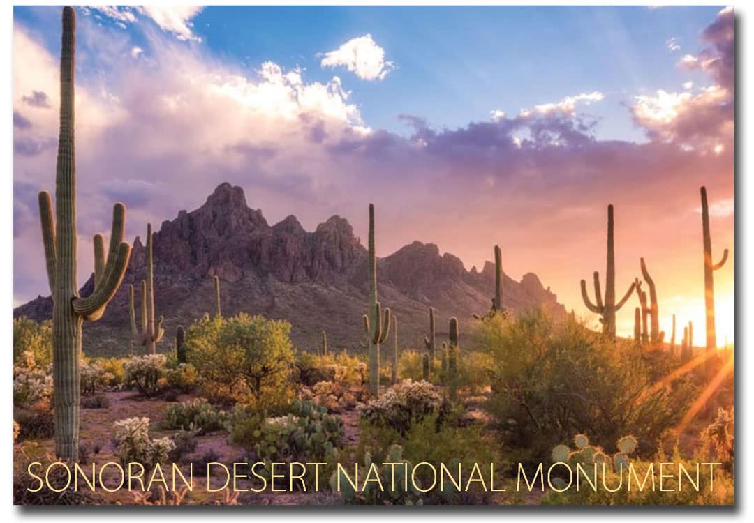 Sonoran Desert National Monument Arizona Souvenir Fridge Magnet 2.5x3.5 Inches - Perfect for Travel Memories, Office Decor & Gift Ideas