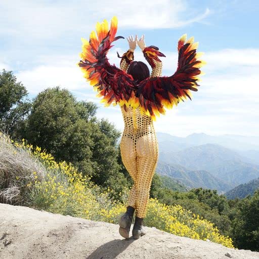 ZUCKER Phoenix Firebird Feather Wings - Adjustable Cosplay Costume Accessories for Adults | Halloween, Dance, Festivals, Raves | Perfect for Cosplay Events, Costume Parties & Themed Performances