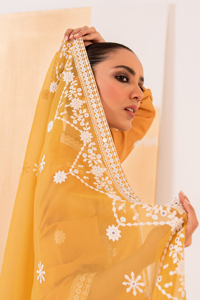 HAZEL WOOD 2-Piece Set (Shirt & Dupatta) - Stylish Ethnic Outfit for Women | Perfect for Festivals, Weddings & Special Occasions