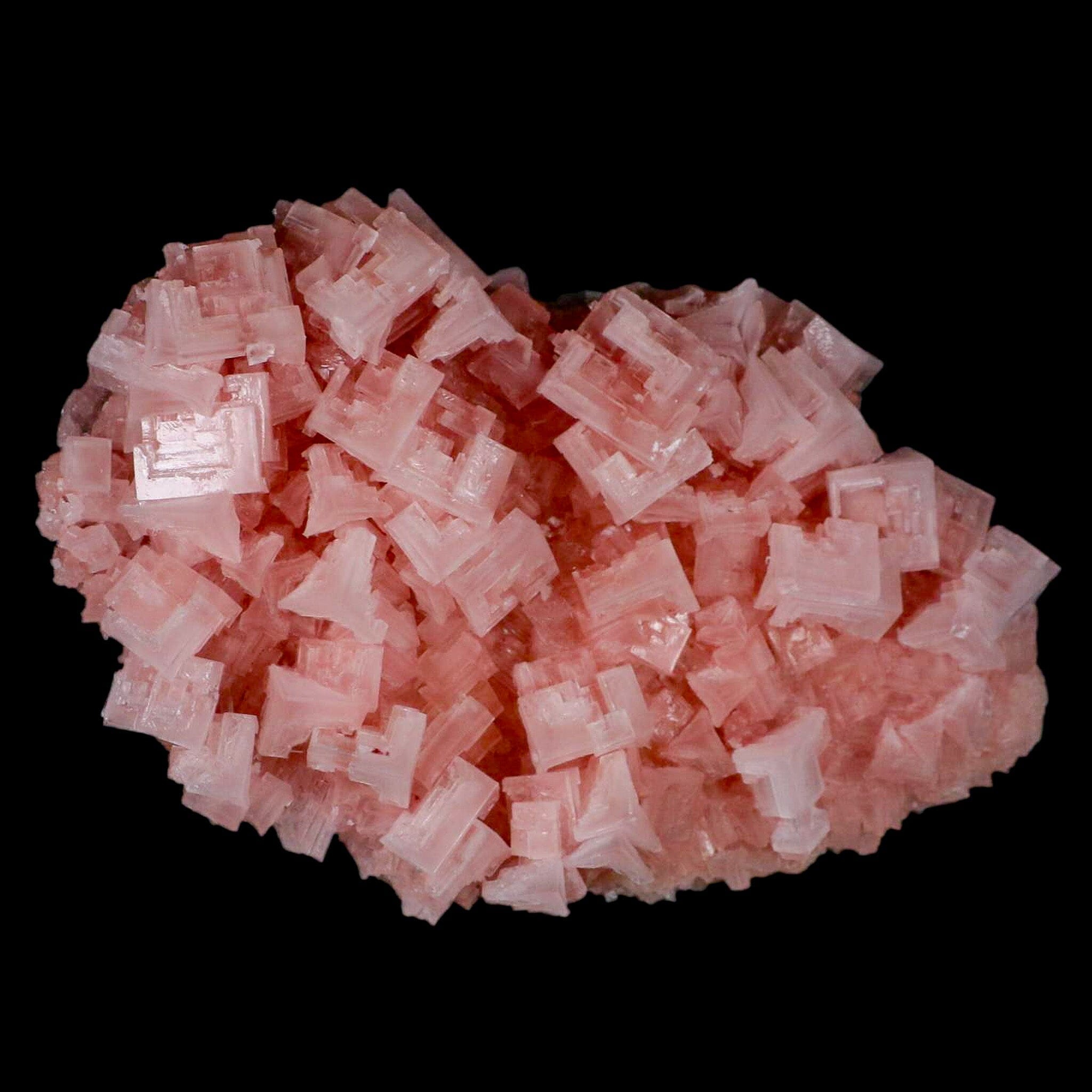 Premium Pink Halite Salt Crystals Cluster - Natural Mineral Specimen from Searles Lake, CA | Healing Crystals, Home Decor & Meditation Gifts