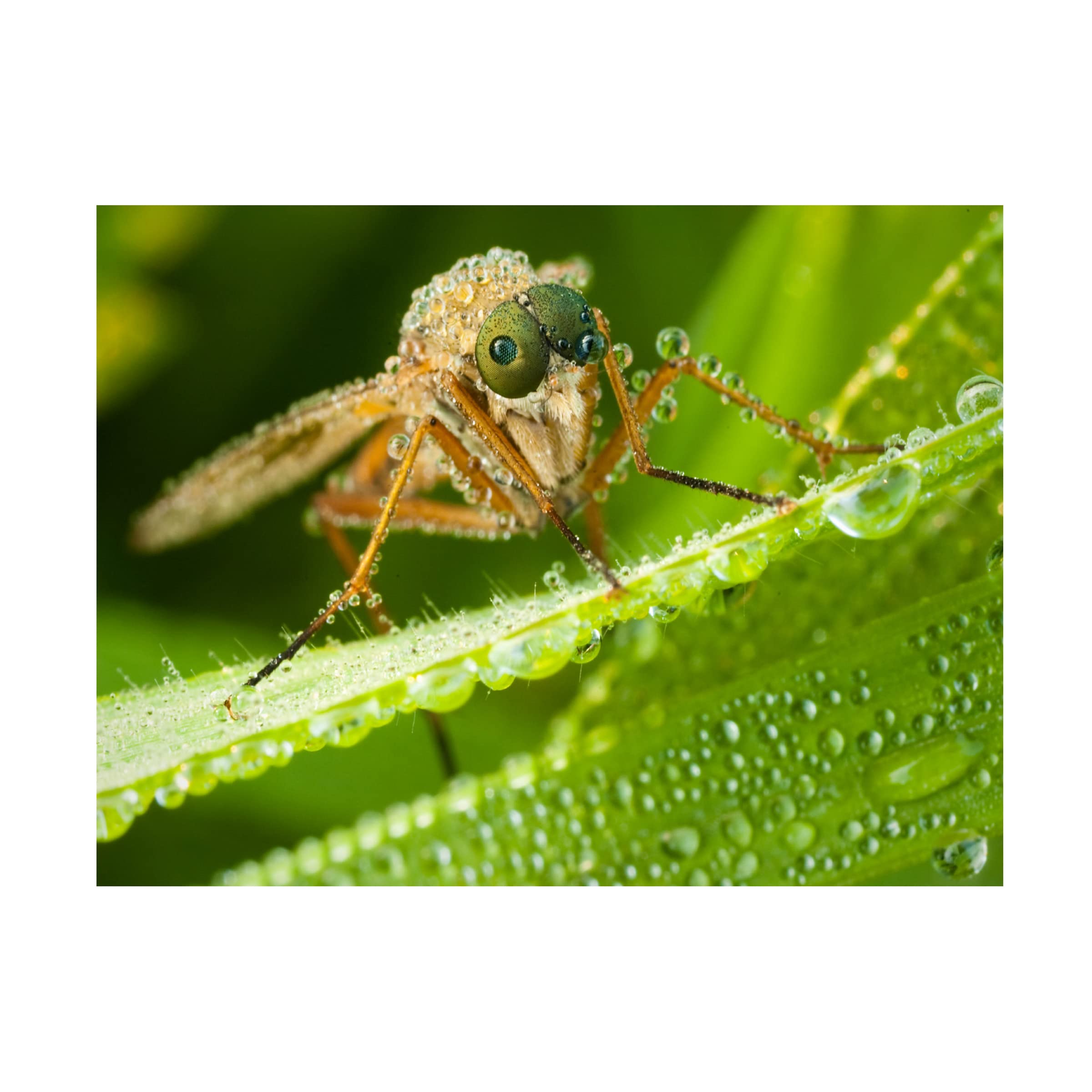 Trademark Fine Art 'Alien' Canvas Print by Robert Adamec - Sci-Fi Wall Decor for Living Room, Bedroom & Office