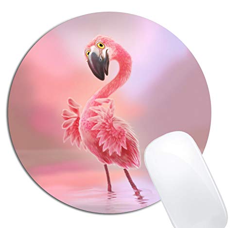 Yeah Flamingo