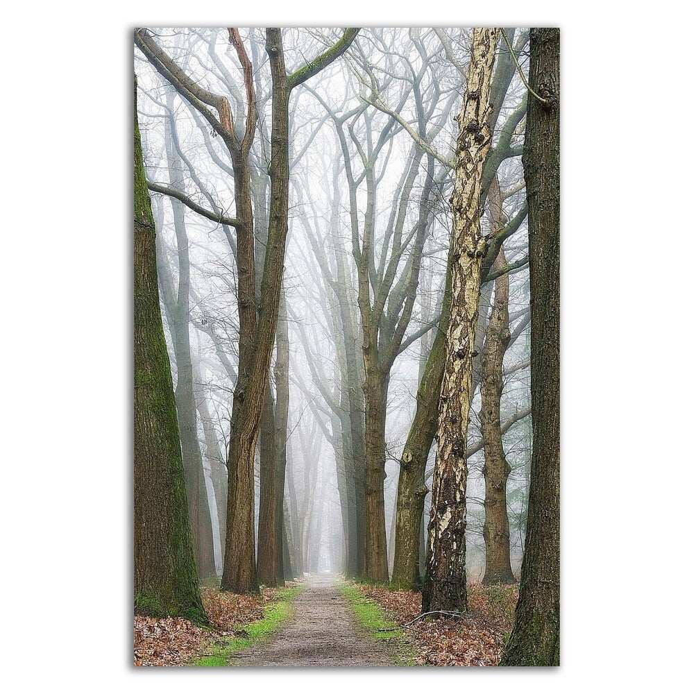 Lars Van de Goor 'At the End You Will Find a New Beginning' Canvas Art Print - Ready to Hang Wall Decor for Living Room, Bedroom & Office