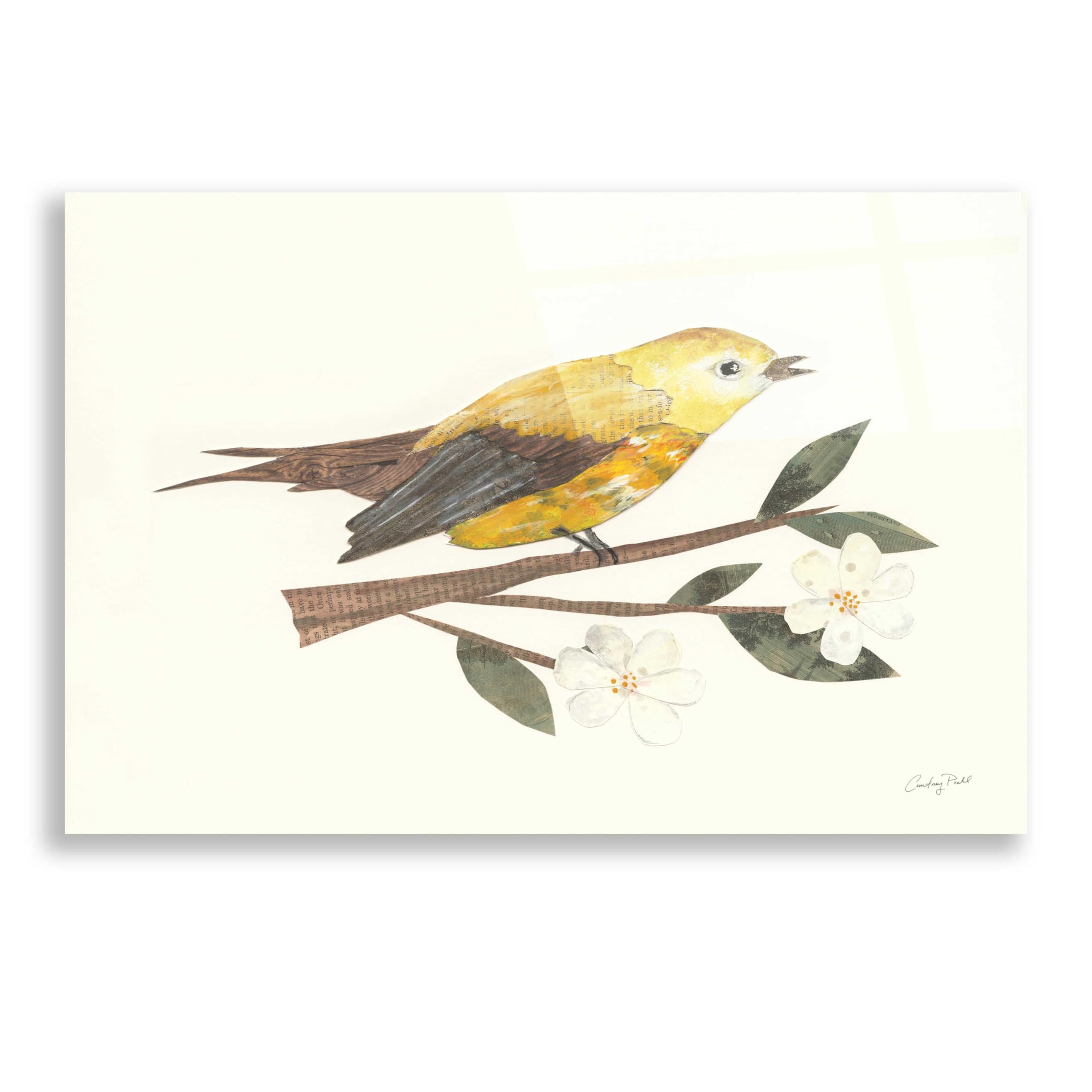 Courtney Prahl 'Birds and Blossoms I' Acrylic Glass Wall Art - 24x16 Inches Modern Home Decor for Living Room, Bedroom & Office