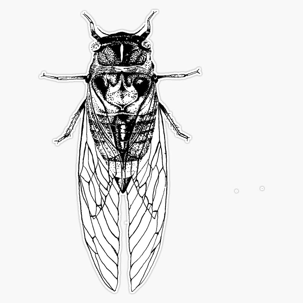 Waterproof Cicada Vinyl Sticker - Durable Bumper Decal for Cars, Laptops, Windows (5 Inch) - Perfect for Outdoor Use, DIY Decor & Gift Giving