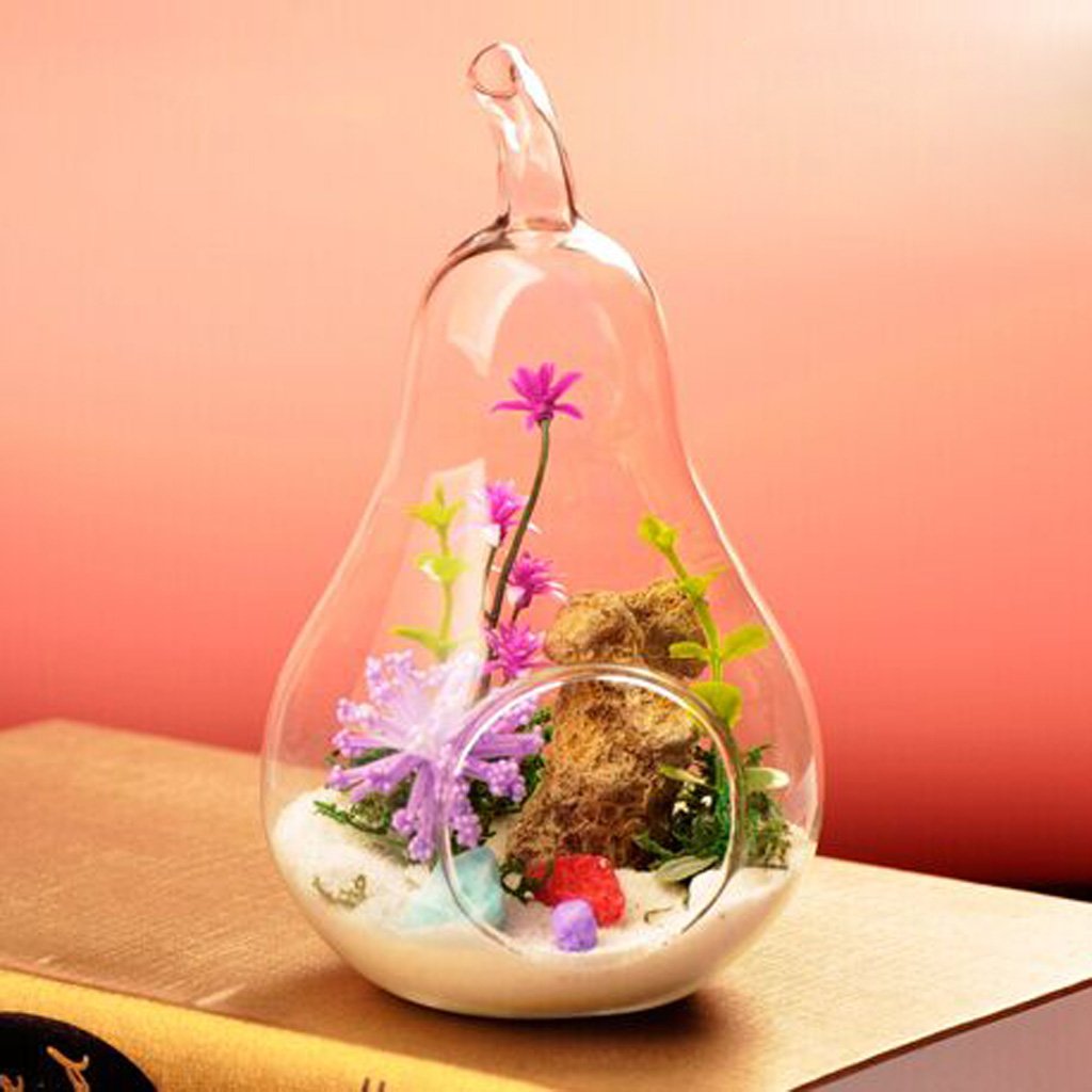 Pear Shaped Glass Hanging Vase - Elegant Plant Flower Decor for Home, Wedding, Garden & Office | Handmade Clear Glass Bottle for Air Plants, Succulents & Fresh Cut Flowers