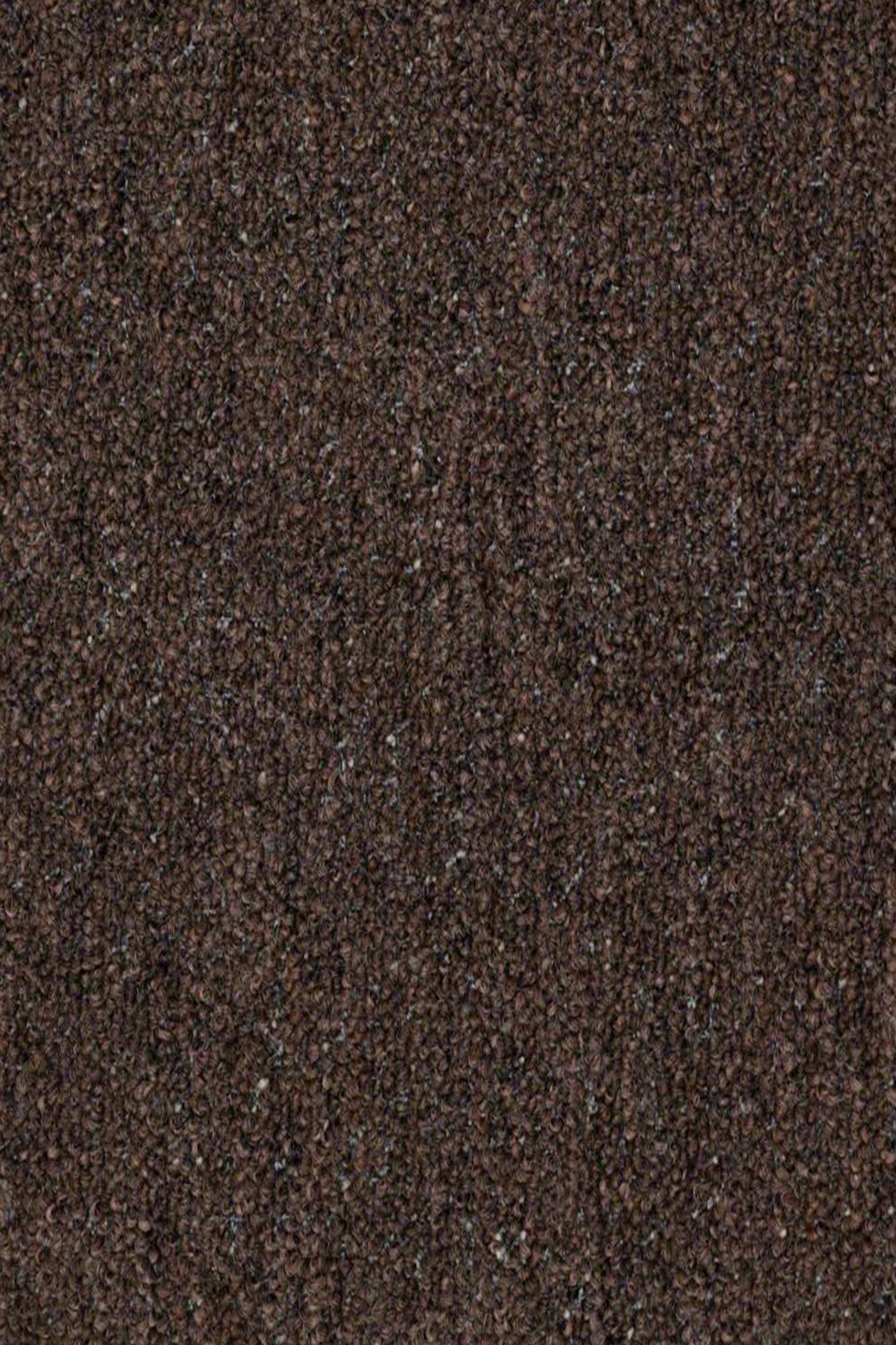 Home Queen Indoor Outdoor Commercial Chocolate Brown Area Rug 5'x7' - Soft & Durable for Living Room, Bedroom, Patio - H-NEYLAND-5X7-CHOCOLATE