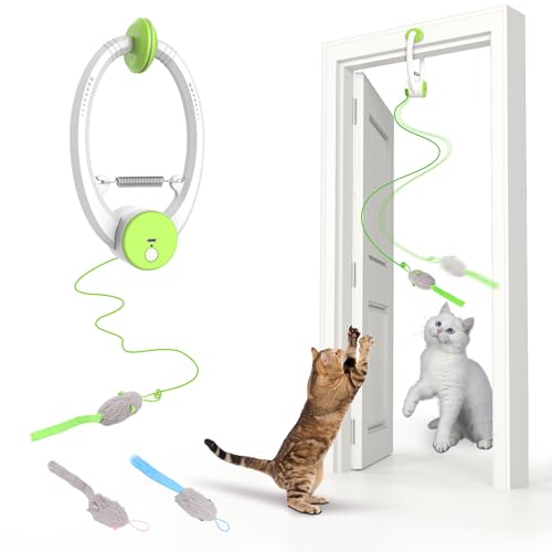 Interactive Cat Toy-Green