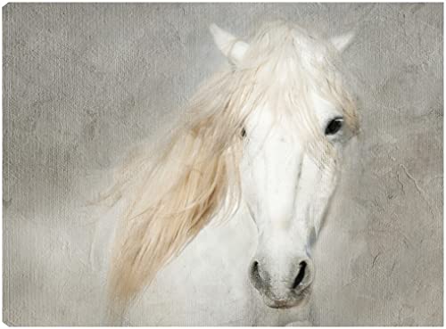 Stallion Face