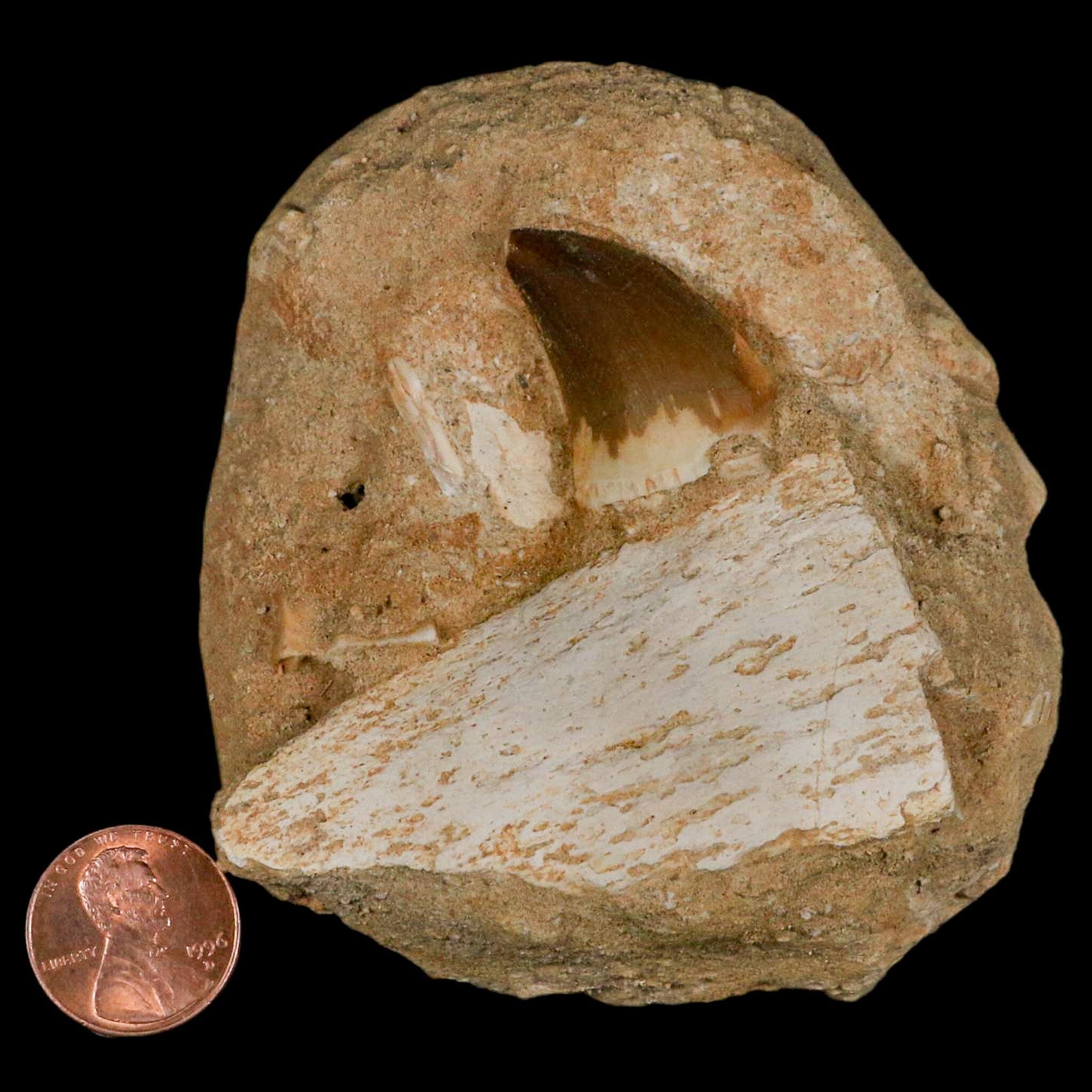 2.6